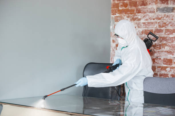 Best Residential Mold Inspection & Testing  in Woodville, FL